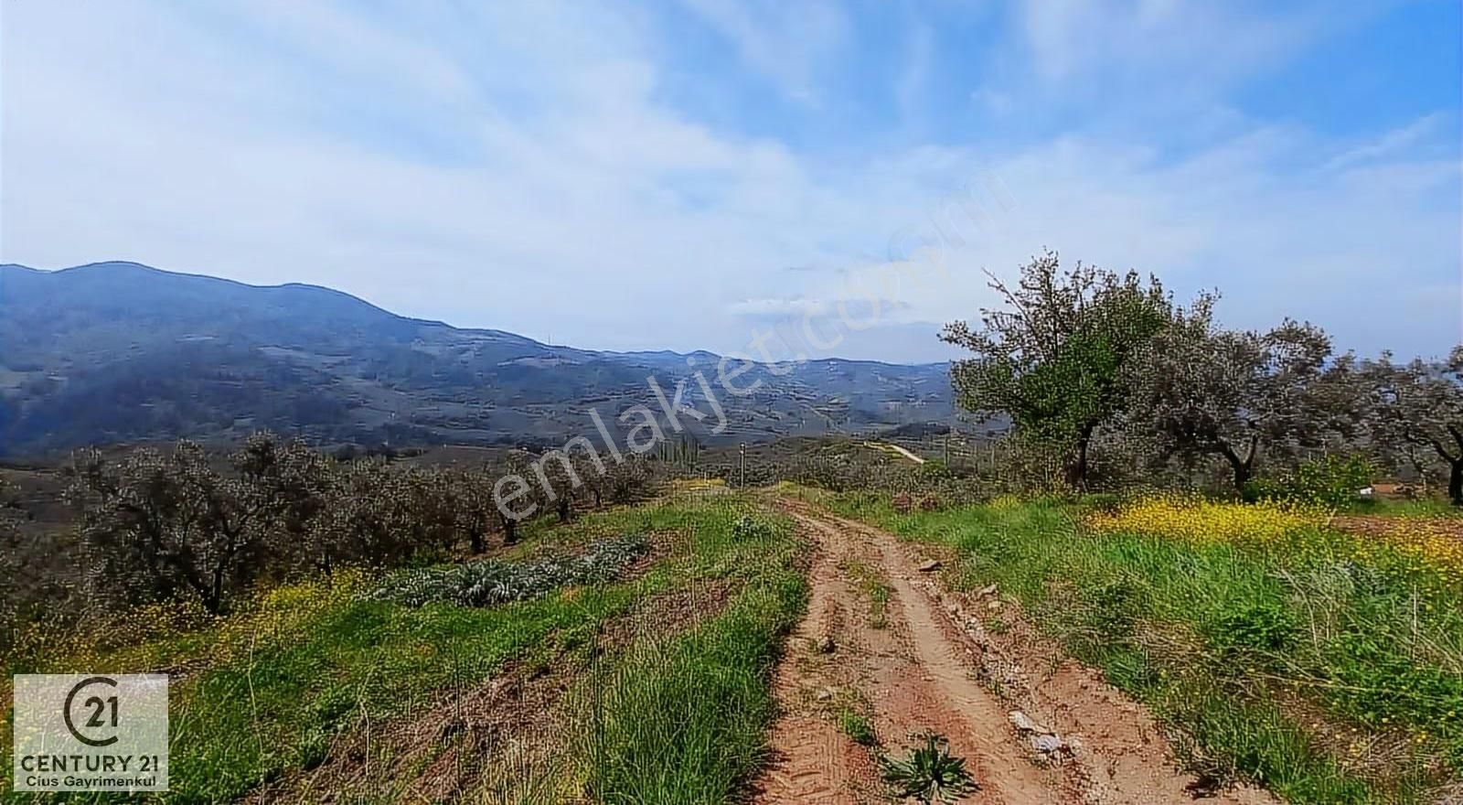 C21 Cius; Gemlik Katırlı'da Uludağ Ve Deniz Manzaralı Tarla - Görsel 4