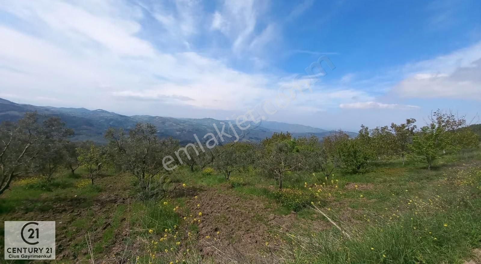 C21 Cius; Gemlik Katırlı'da Uludağ Ve Deniz Manzaralı Tarla - Görsel 7