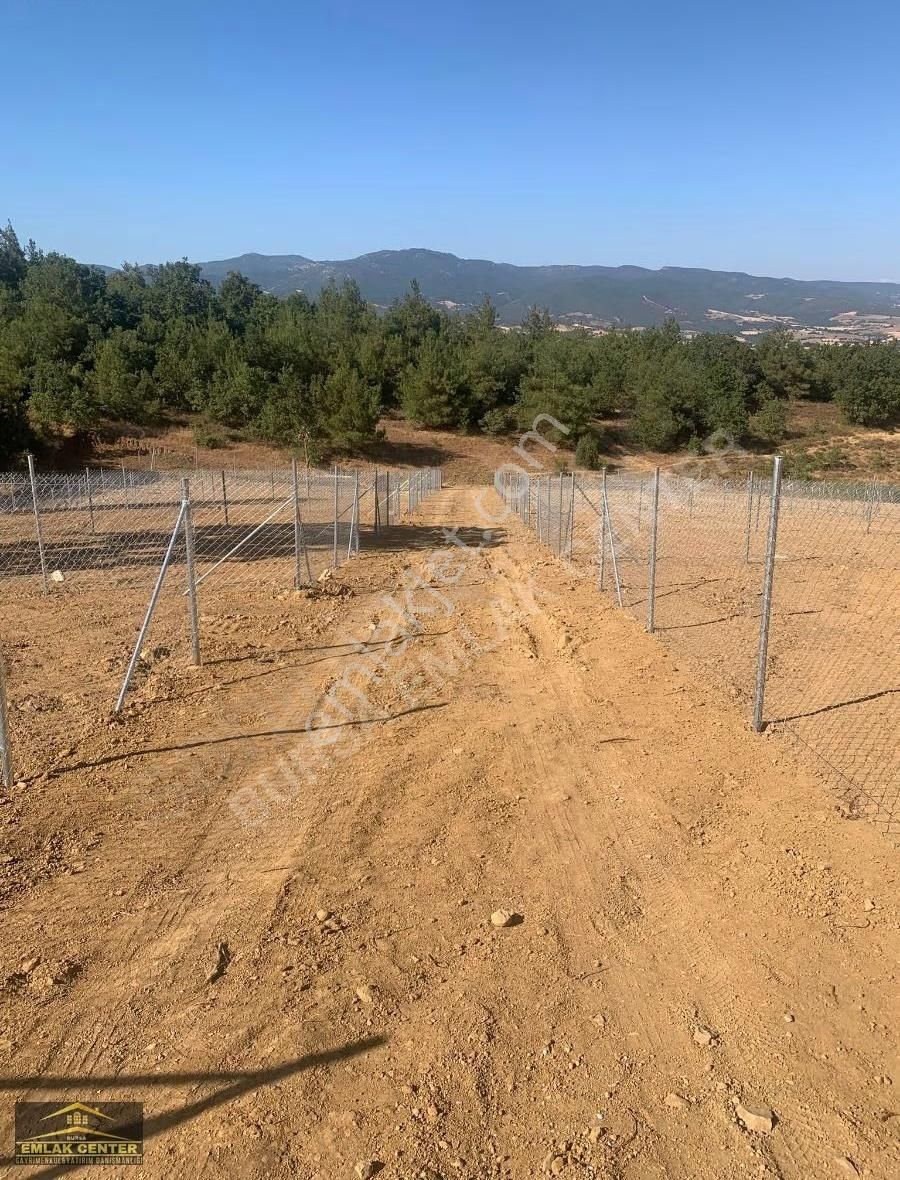 Yenişehir Marmaracıkta Hisselli Tapulu 254 M2 Hobi Bahçeleri - Görsel 8