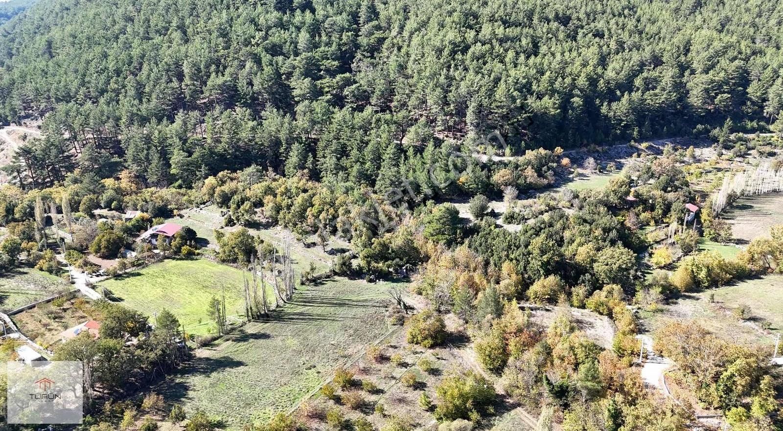 Fethiye Nif Mahallesinde 2174 M² Doğa İçinde 2 Hisseli Arsa - Görsel 5