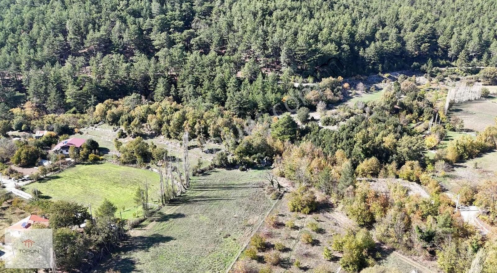 Fethiye Nif Mahallesinde 2174 M² Doğa İçinde 2 Hisseli Arsa - Görsel 2