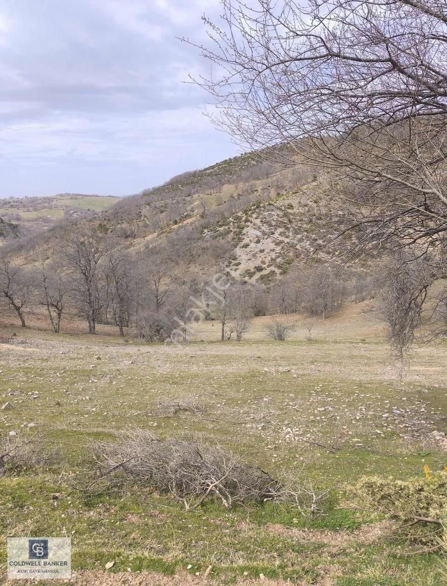 İznik İhsanıye Köyün Girişinde Resmi Yola Cephe Tarla Satılık - Görsel 6