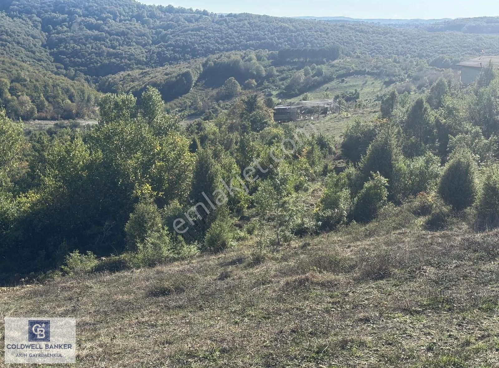 Şilede 'de Çelebi Mahallesinde Müstakil Tapulu Satılık Tarla - Görsel 5