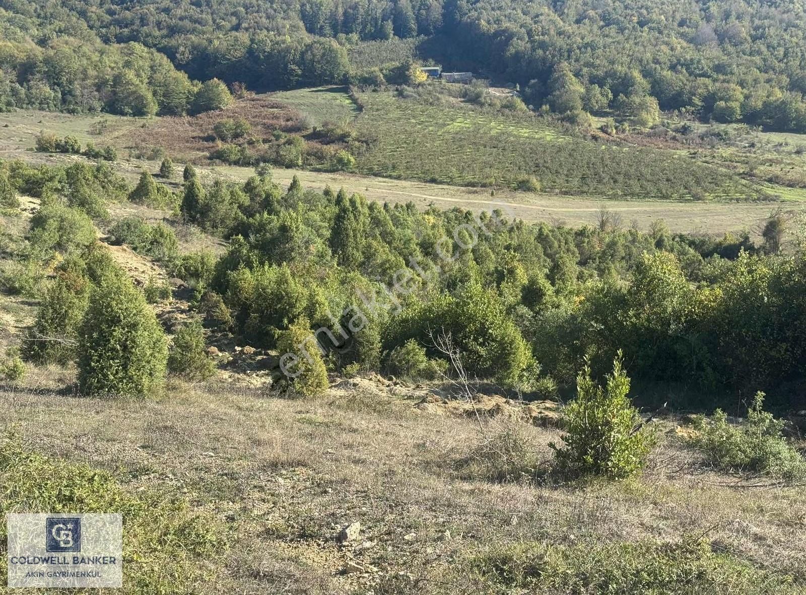 Şilede 'de Çelebi Mahallesinde Müstakil Tapulu Satılık Tarla - Görsel 6