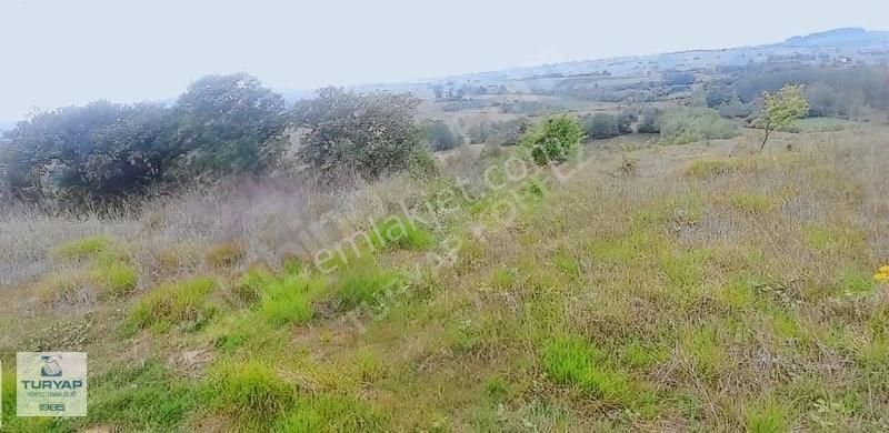 Turyap Körfez Temsilciliği'den Ahmethacılar'da Satılık Tarla - Görsel 2