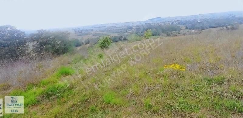 Turyap Körfez Temsilciliği'den Ahmethacılar'da Satılık Tarla - Görsel 9