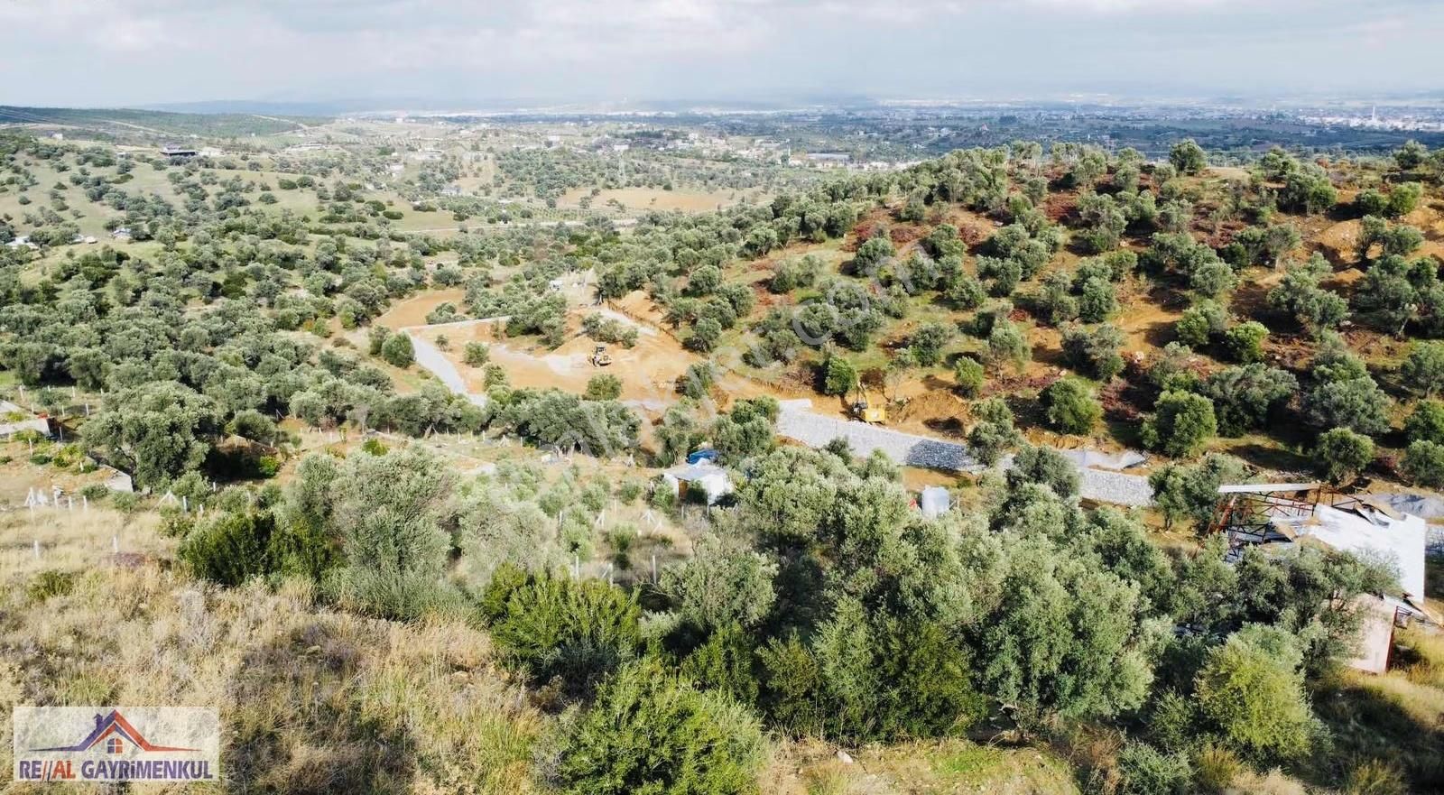 Real'den Menderes Akçaköyde 707 M2 Hisse Tapulu Bahçe - Görsel 13