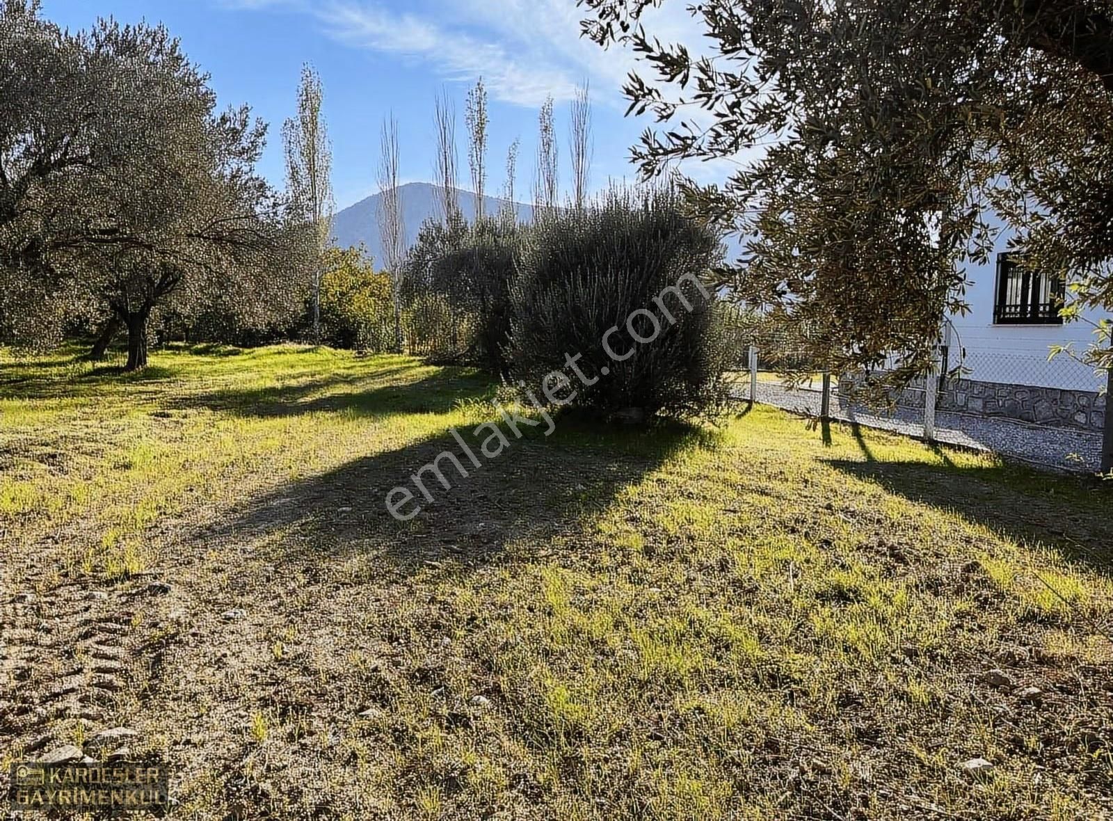 Satılık Yeniceköy De Zeytinlik - Görsel 20