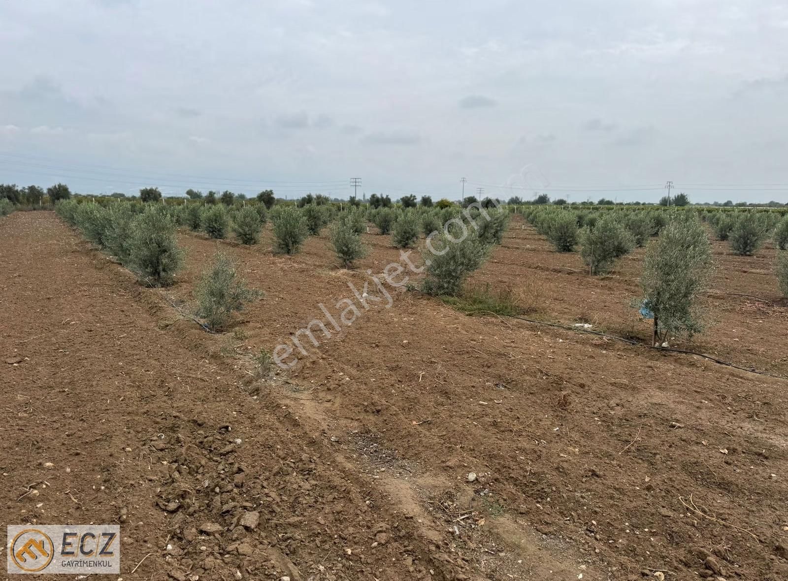 Ecz Gayrimenkul Den Satılık Yatırımlık Zeytinlik Ilıca Mh - Görsel 12