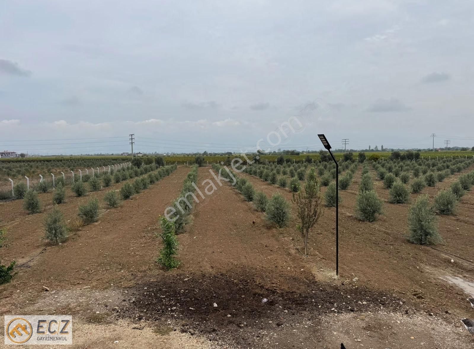 Ecz Gayrimenkul Den Satılık Yatırımlık Zeytinlik Ilıca Mh - Görsel 3