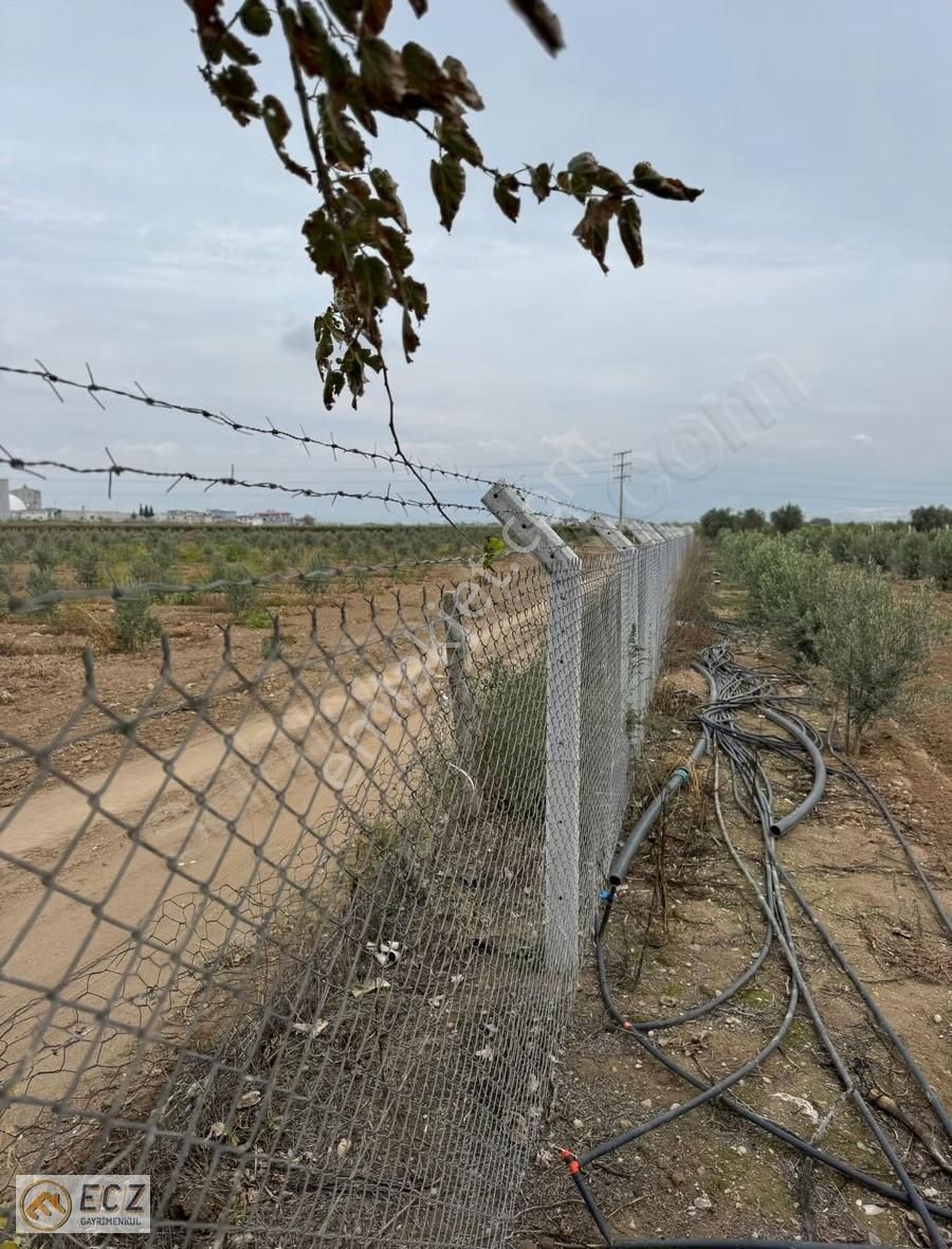 Ecz Gayrimenkul Den Satılık Yatırımlık Zeytinlik Ilıca Mh - Görsel 5