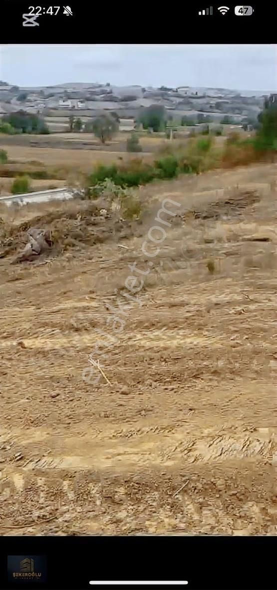 Himmetli 1 Dönüm Asfalta Cephe Ev Yapılabilir - Görsel 3