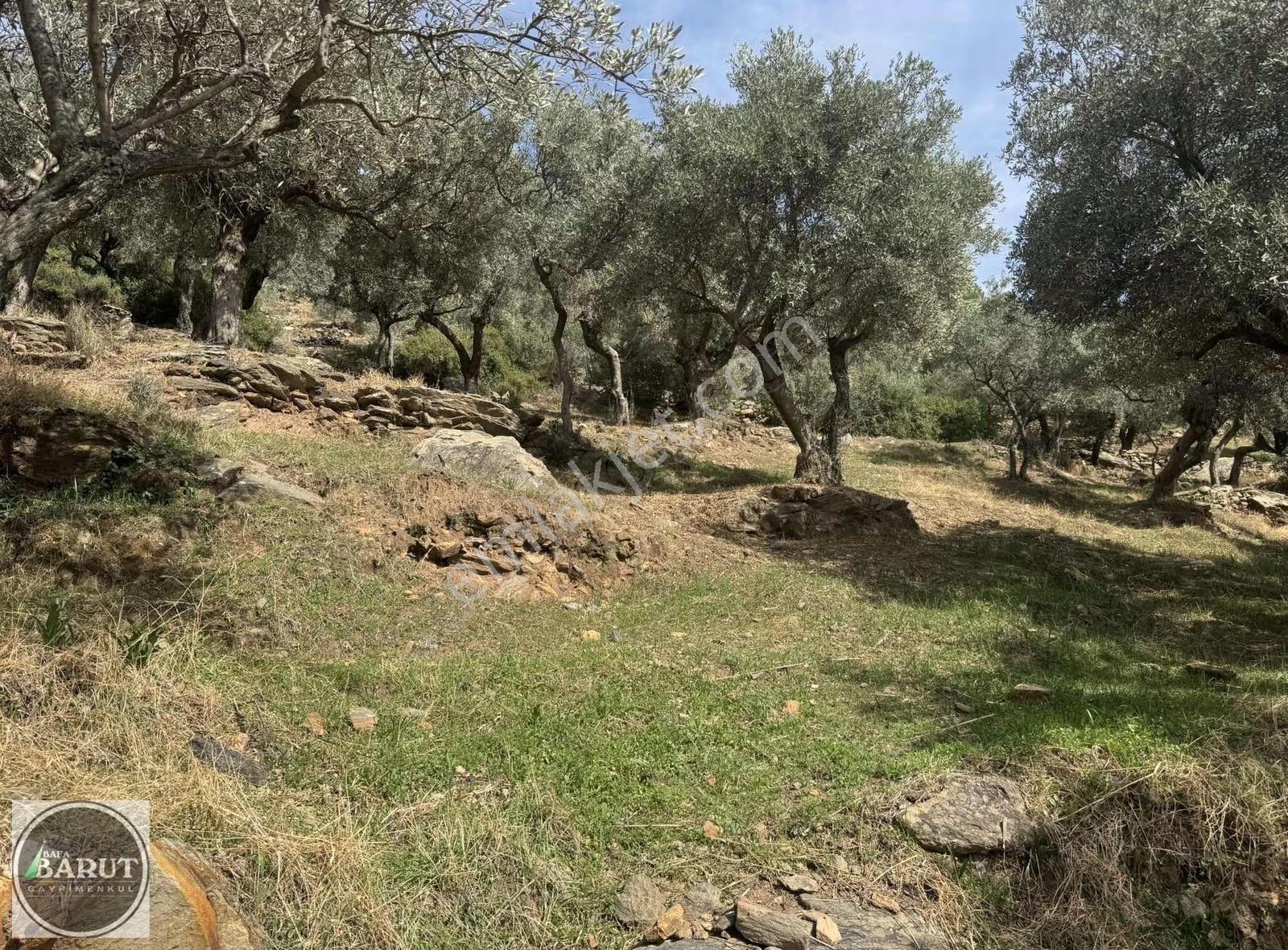 Akçalı Mahallesi İmarlı Arsa - Görsel 10