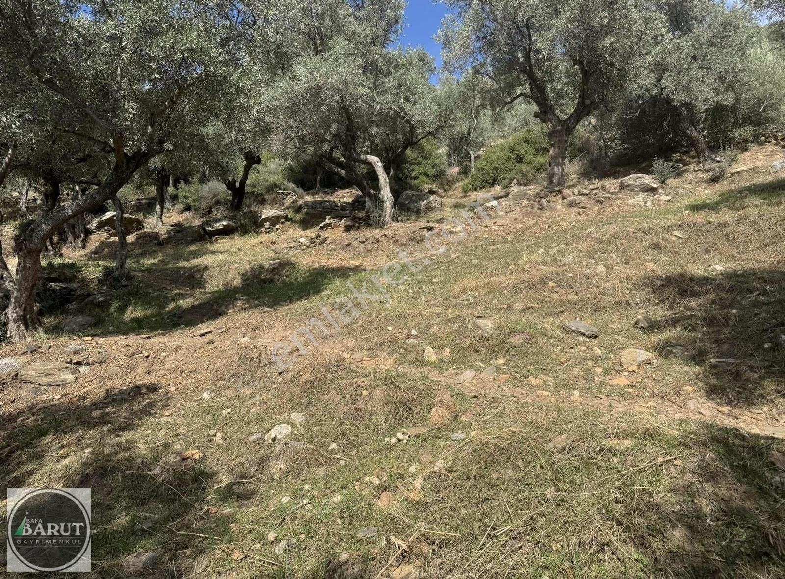 Akçalı Mahallesi İmarlı Arsa