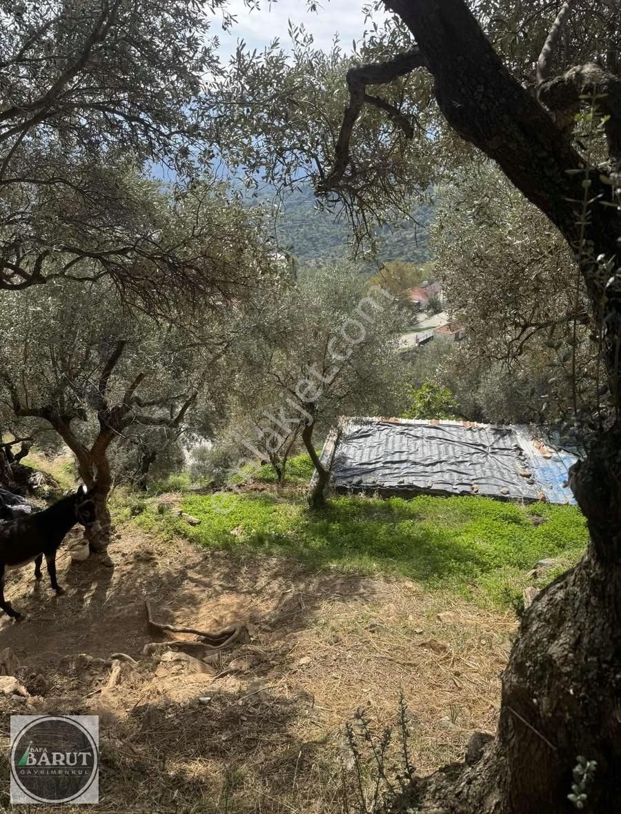 Akçalı Mahallesi İmarlı Arsa - Görsel 5