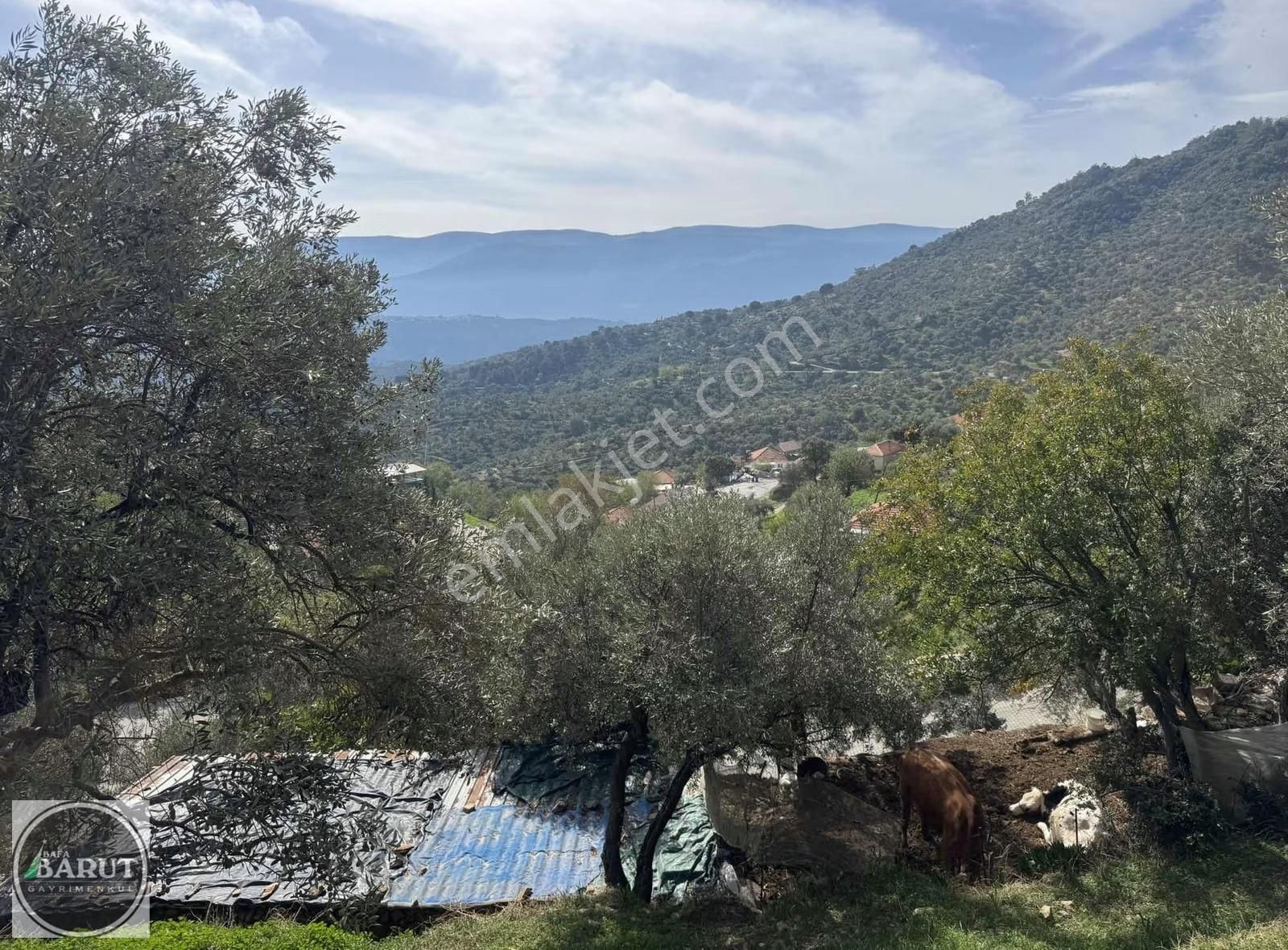 Akçalı Mahallesi İmarlı Arsa - Görsel 7