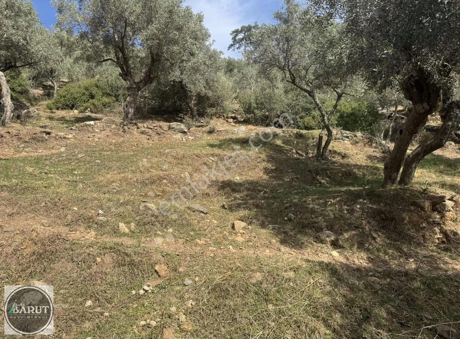 Akçalı Mahallesi İmarlı Arsa - Görsel 8