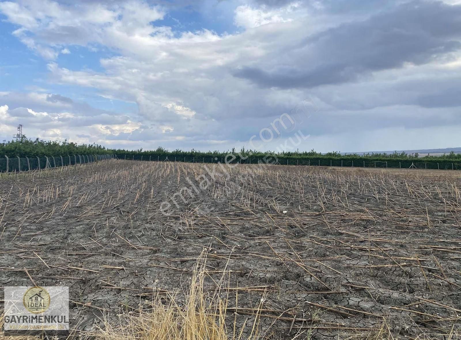 Silivri Fenerköyde Deniz Manzaralı Satılık Tarla - Görsel 5