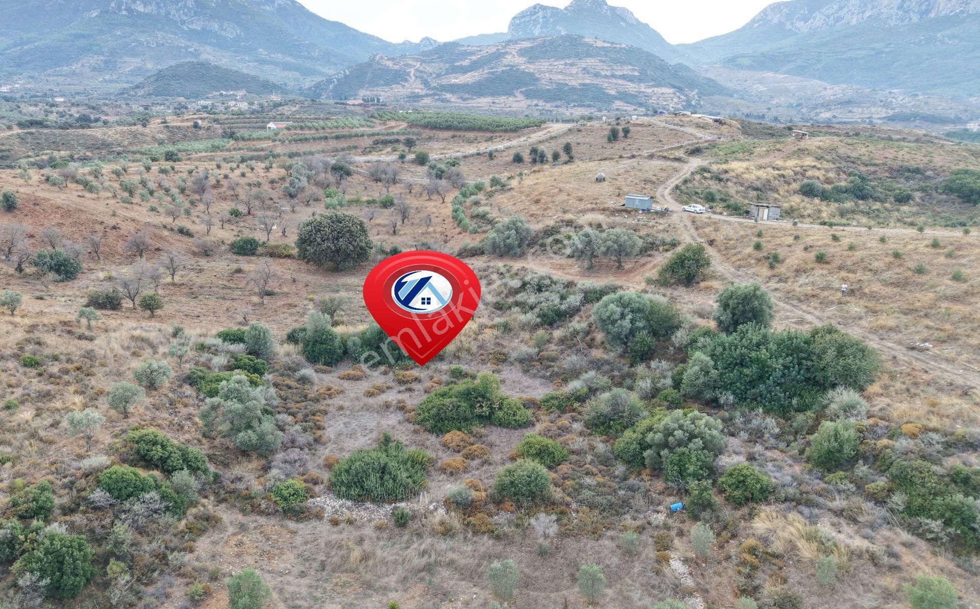 Datça Reşadiye Mahallesinde 2.958m² Tarla - Görsel 5