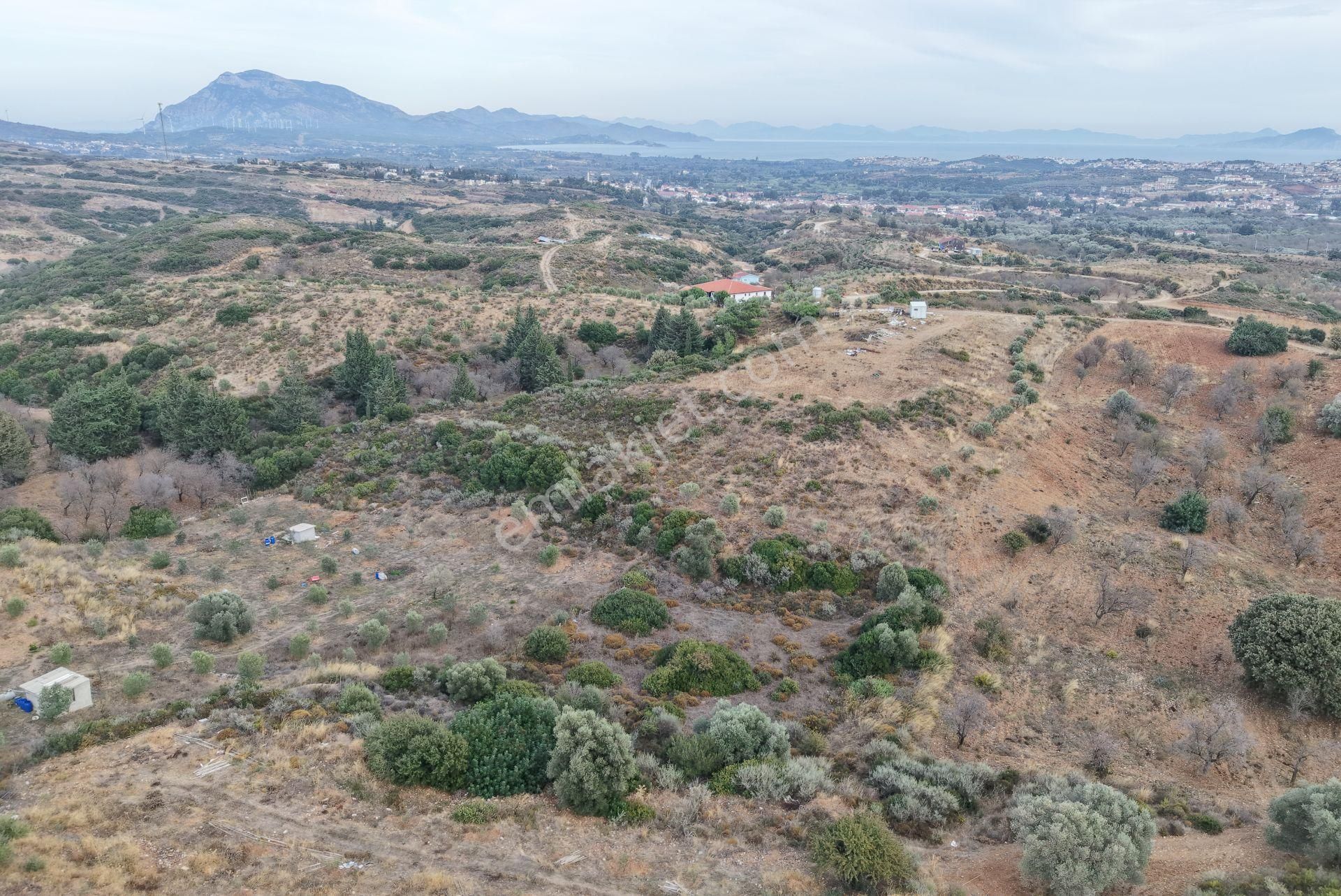 Datça Reşadiye Mahallesinde 2.958m² Tarla - Görsel 12