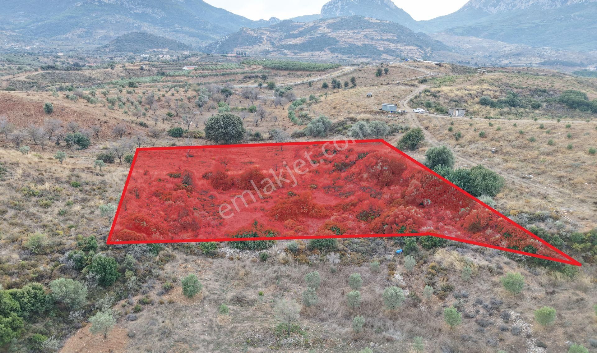 Datça Reşadiye Mahallesinde 2.958m² Tarla - Görsel 4