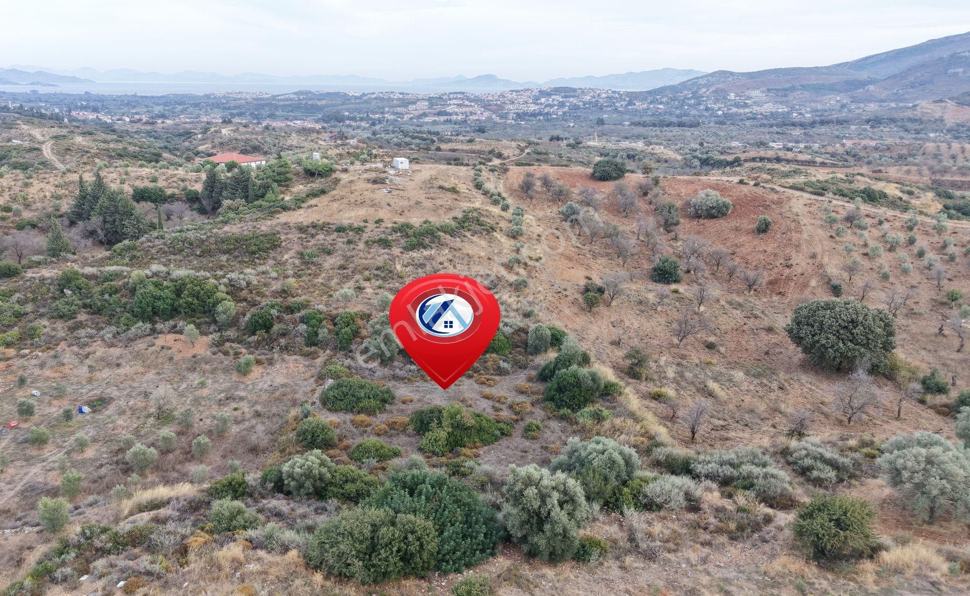 Datça Reşadiye Mahallesinde 2.958m² Tarla - Görsel 15