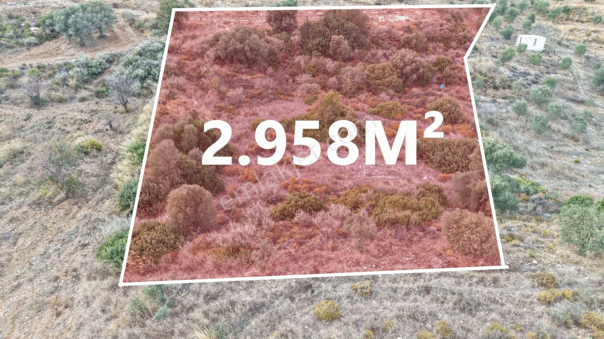 Datça Reşadiye Mahallesinde 2.958m² Tarla - Görsel 2
