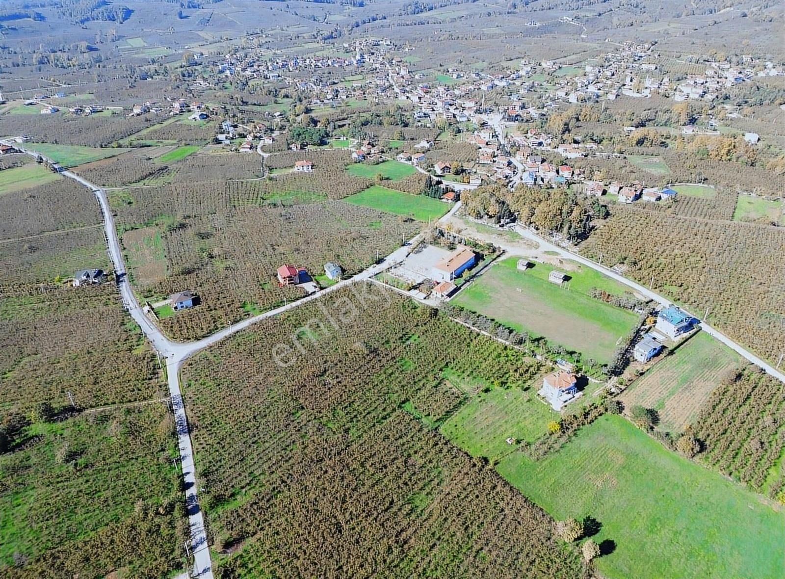 Liva Realty'den Kazimiye'de Yatırıma Uygun Fındık Bahçesi - Görsel 2