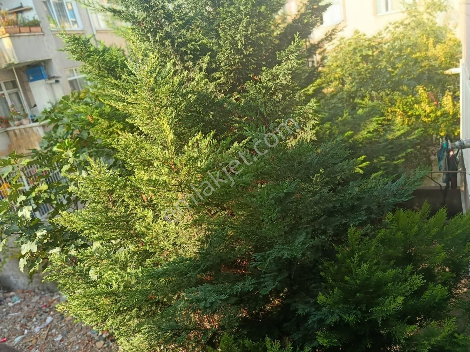 Ecem Emlaktan Alifakih 70m2 Ara Kat Çift Çepe - Görsel 16