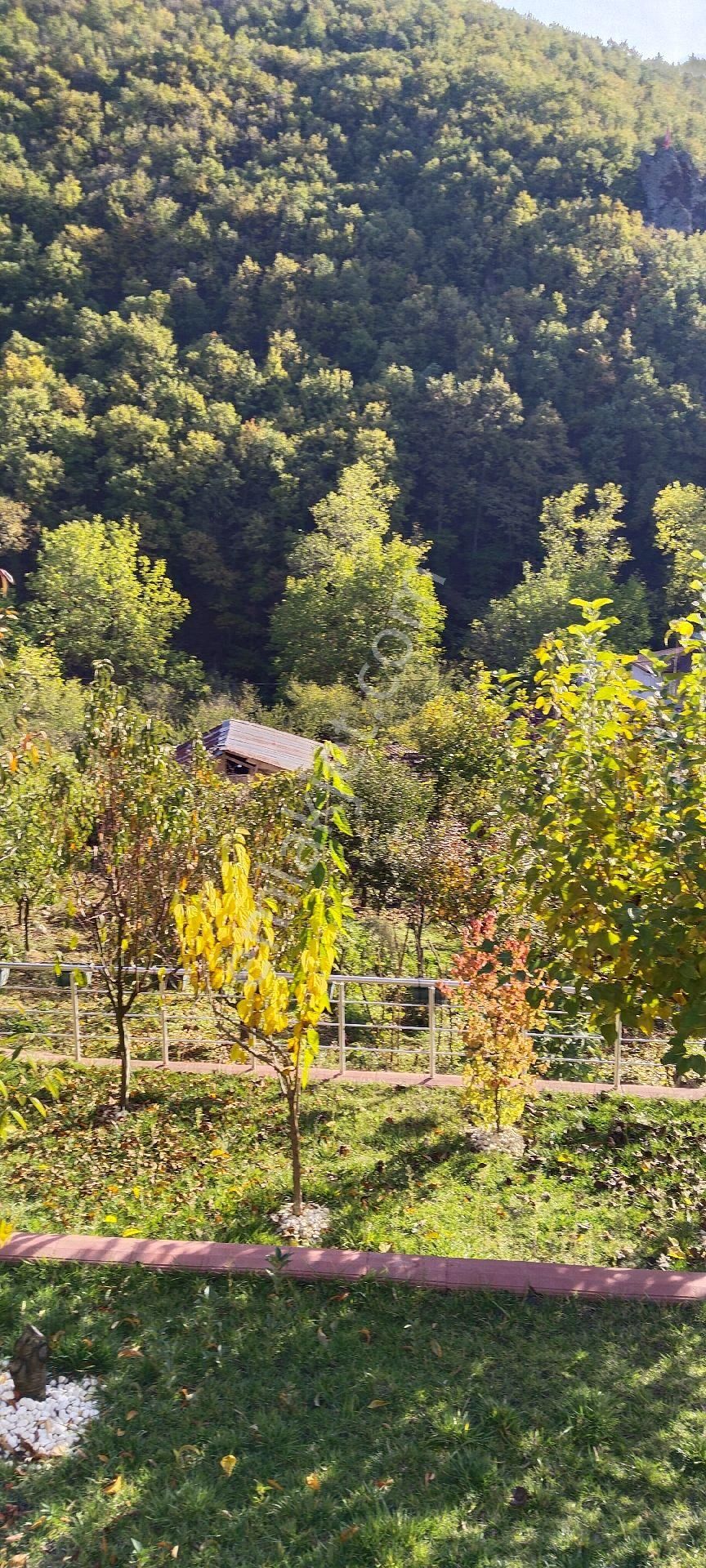 Havuzlu, Eşyalı Müstakil Villa - Görsel 31