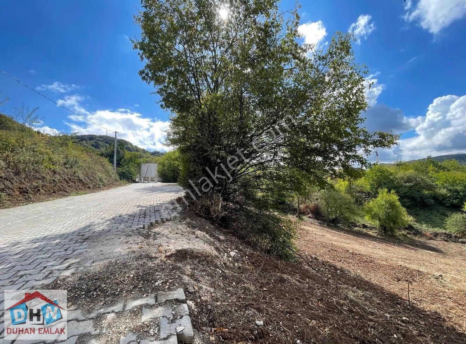 Mahmudiye Köyünde 703m2 Parke Yol Cepheli Arsa - Görsel 5