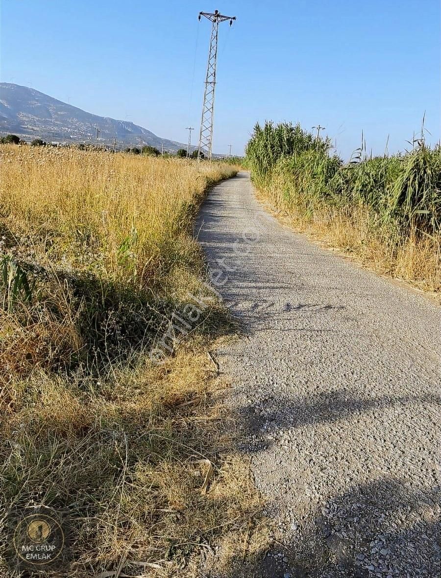 Mc Grup'tan Aşağı Kızılca Ovada Şeftali Bahçesi - Görsel 8