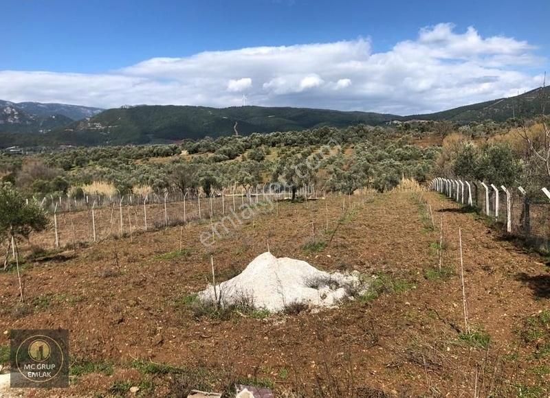 Mc Grup'tan Kemalpaşa Cumalı Mahallesinde Resmi Yol Cepe - Görsel 12