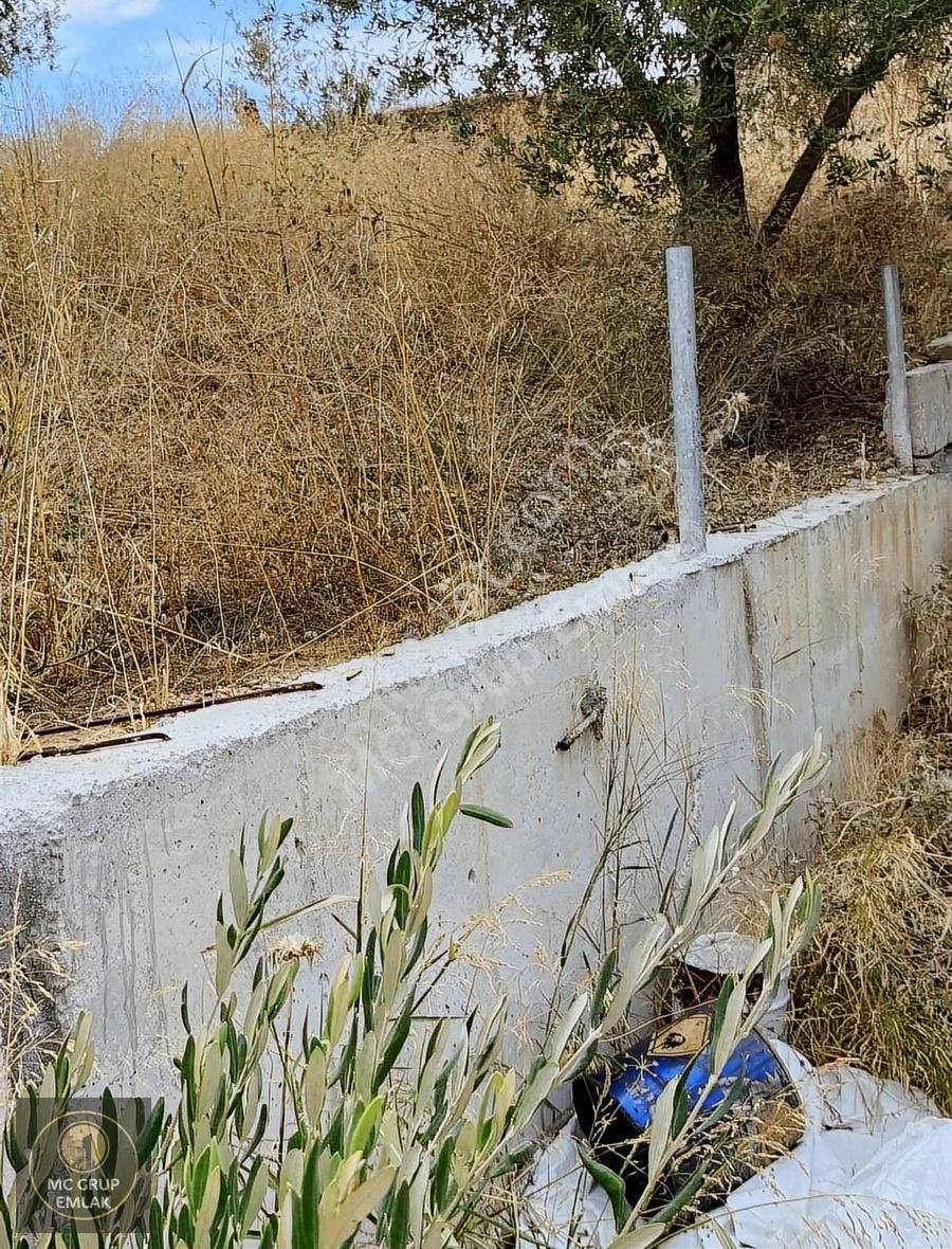 Mc Grup'tan İzmir İstanbul Otobanına Cephe Tek Tapu Arazi - Görsel 13