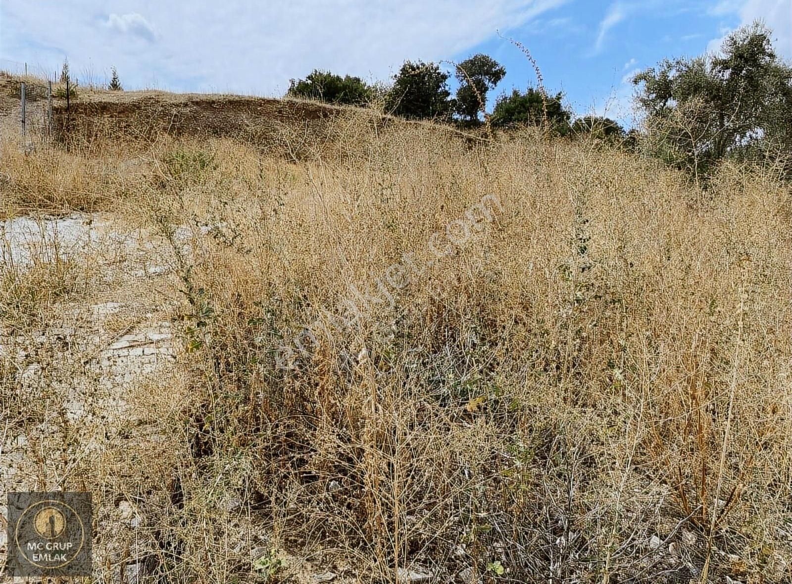 Mc Grup'tan İzmir İstanbul Otobanına Cephe Tek Tapu Arazi - Görsel 3