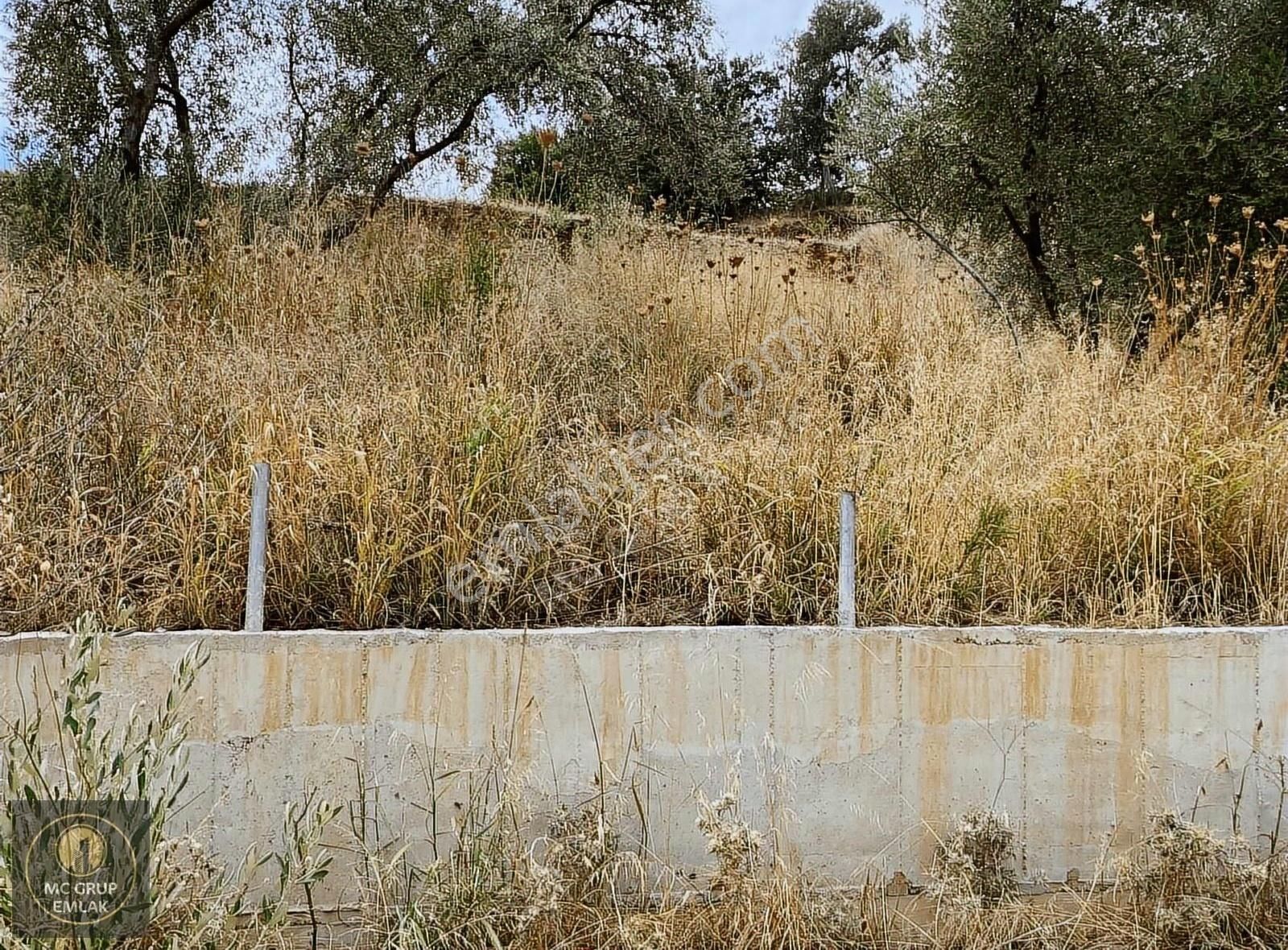 Mc Grup'tan İzmir İstanbul Otobanına Cephe Tek Tapu Arazi - Görsel 23