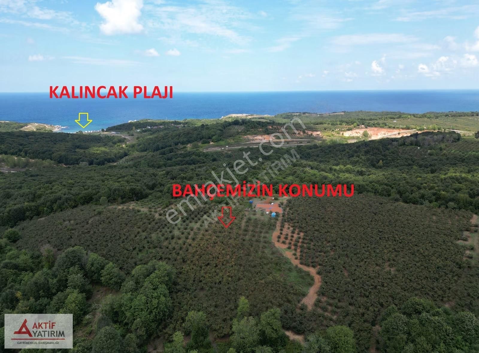 Bollu'da Plajlara Yakın Konumda 1704 M2 Yetişkin Fındık Bahçesi - Görsel 3