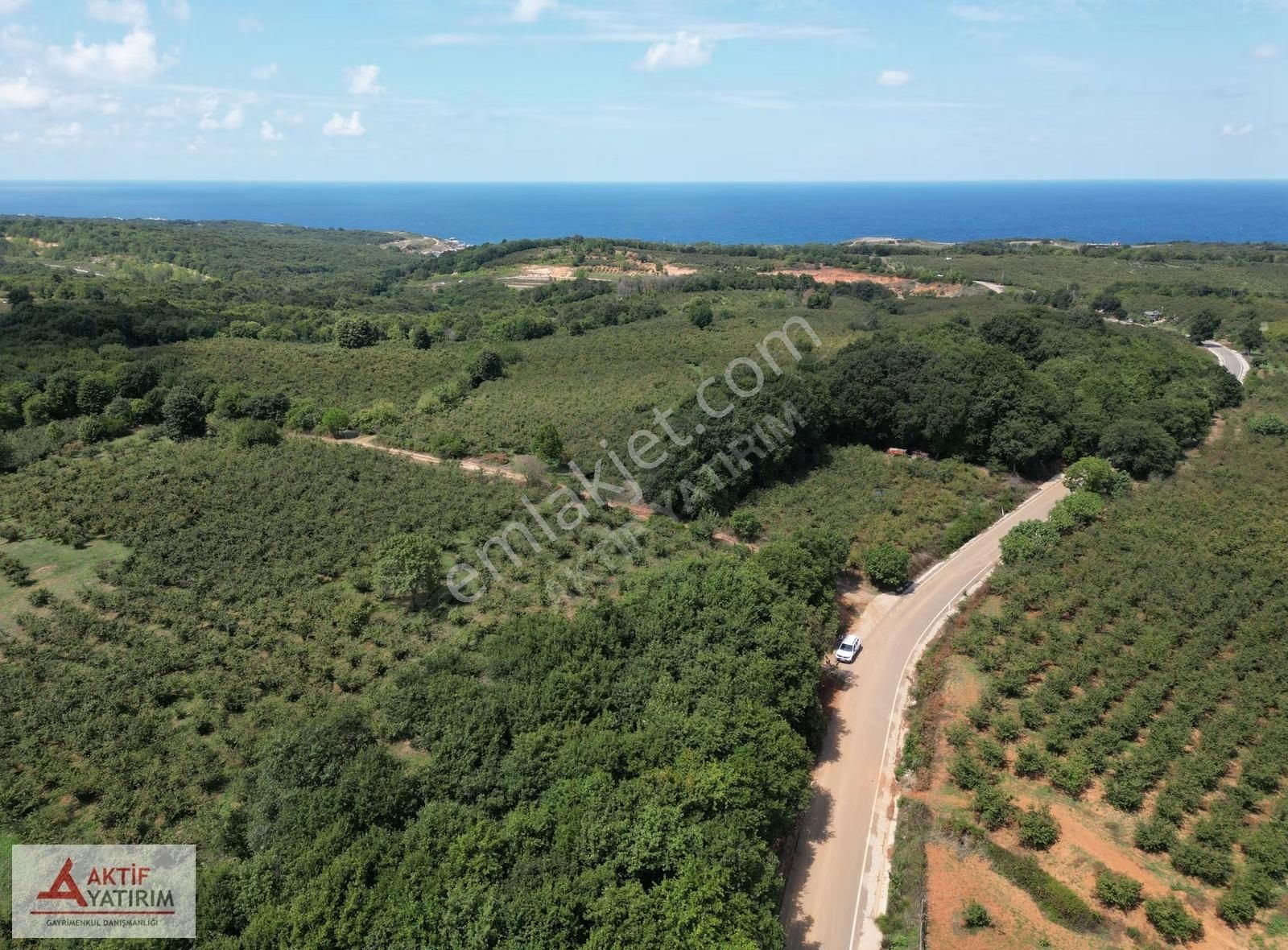 Bollu'da Plajlara Yakın Konumda 1704 M2 Yetişkin Fındık Bahçesi - Görsel 4