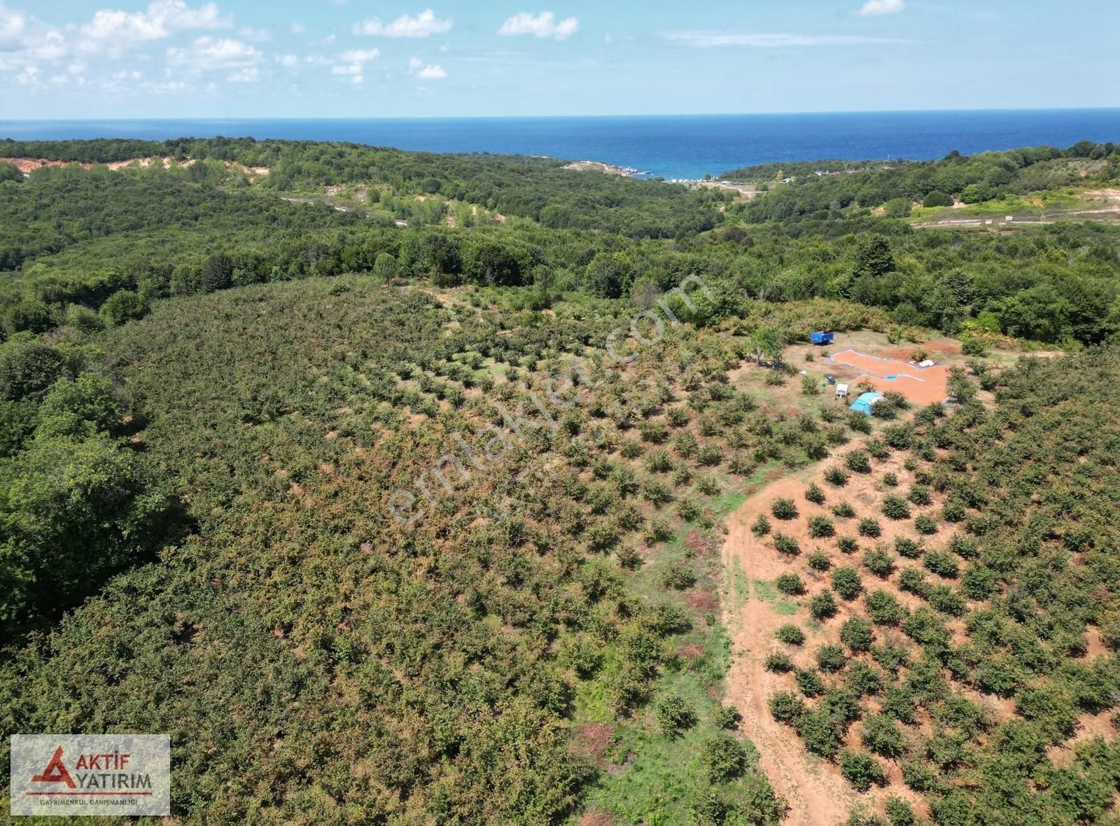 Bollu'da Plajlara Yakın Konumda 1704 M2 Yetişkin Fındık Bahçesi