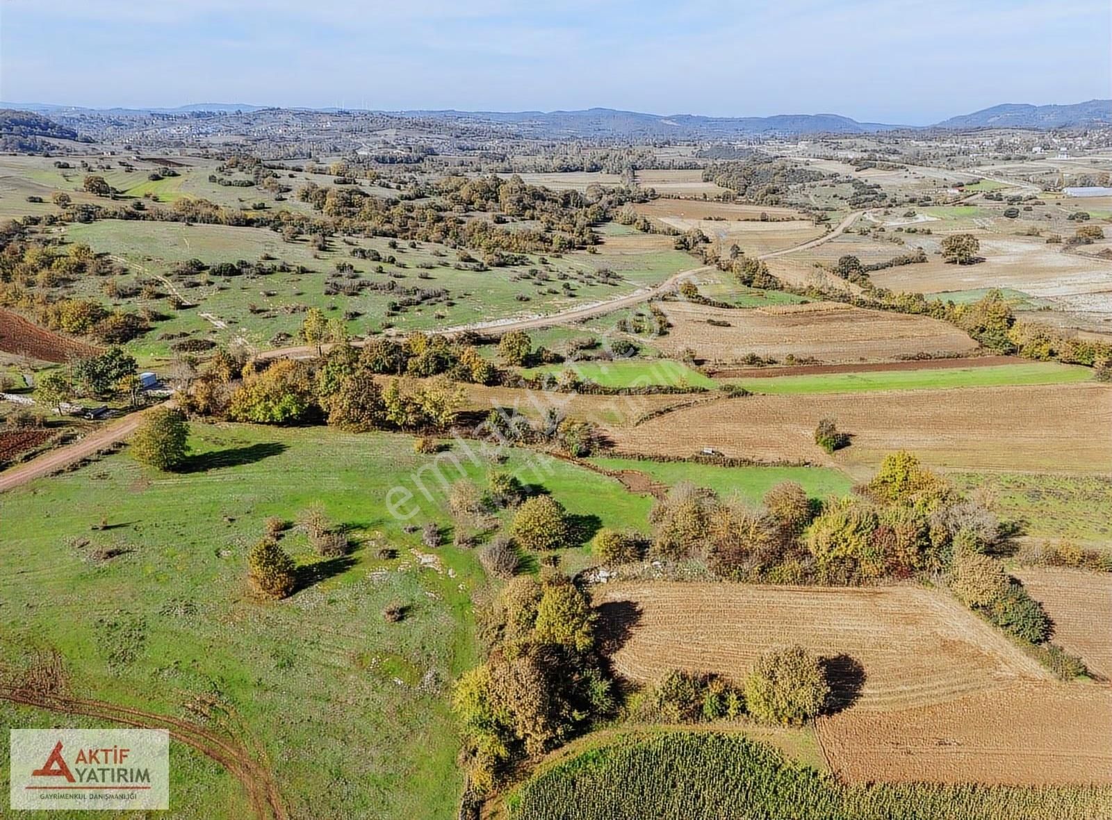Kandıra Balcı Köyü Toplulaştırmada 2300 M2 Yatırımlık Tarla - Görsel 5