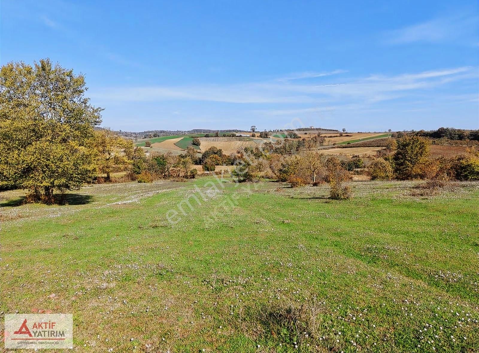 Kandıra Balcı Köyü Toplulaştırmada 2300 M2 Yatırımlık Tarla - Görsel 13