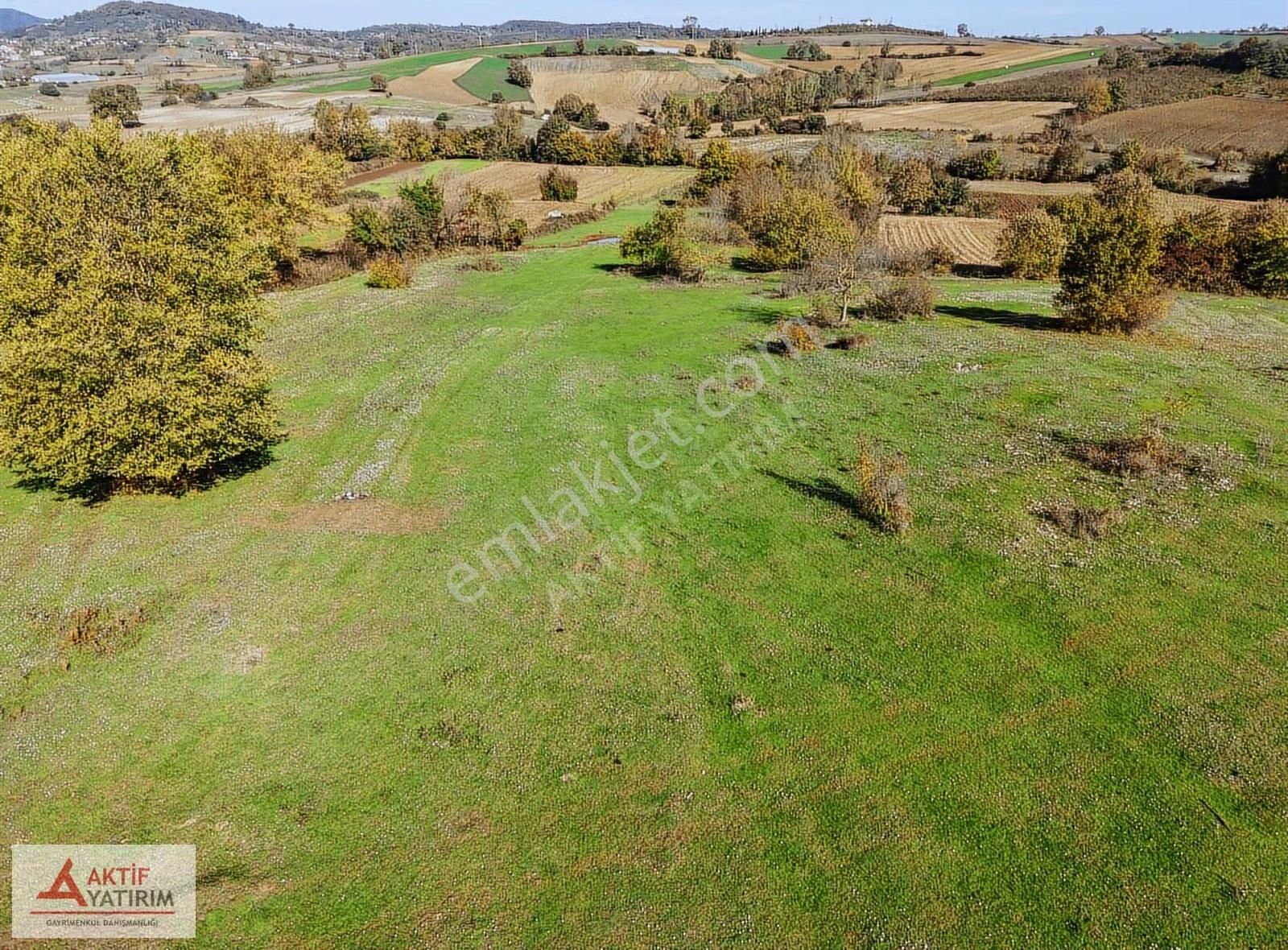 Kandıra Balcı Köyü Toplulaştırmada 2300 M2 Yatırımlık Tarla - Görsel 32