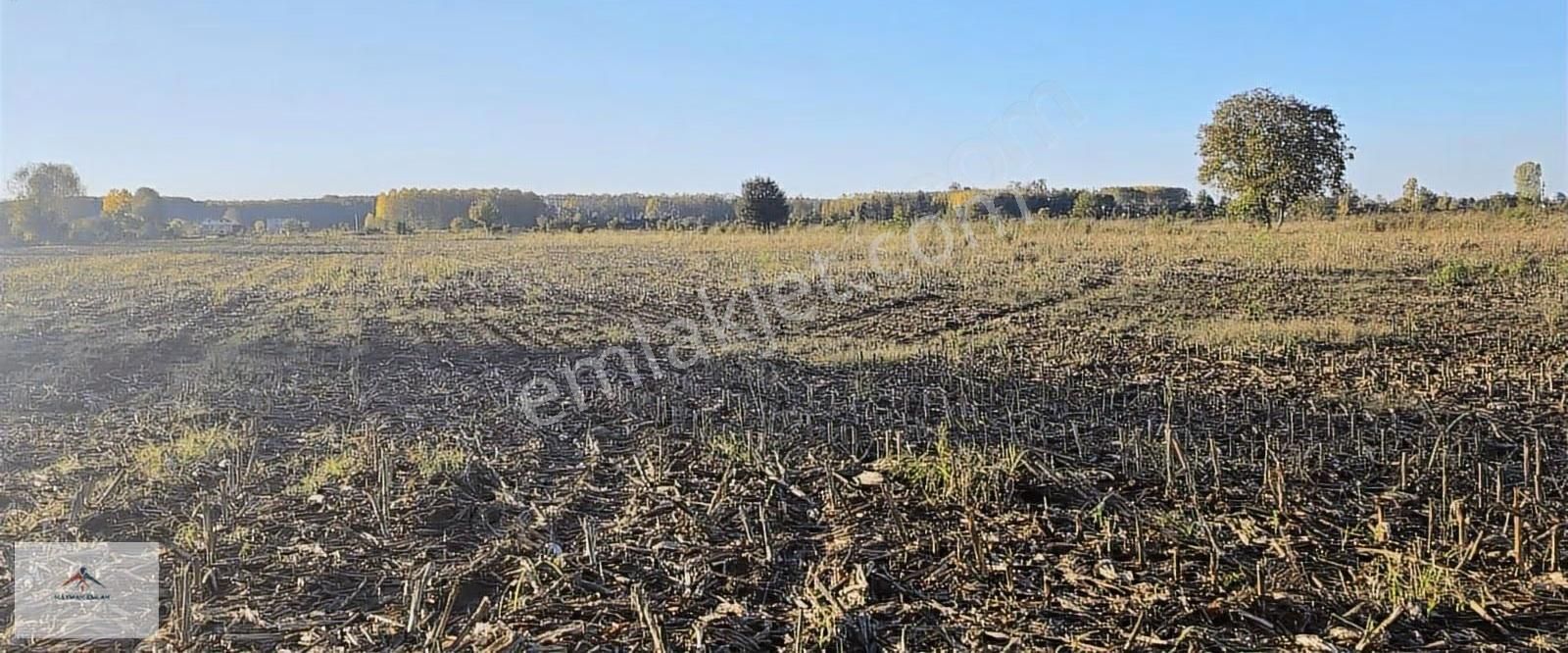 Kaymak Emlaktan Resmi Yolu Olan Satılık Arazi - Görsel 12