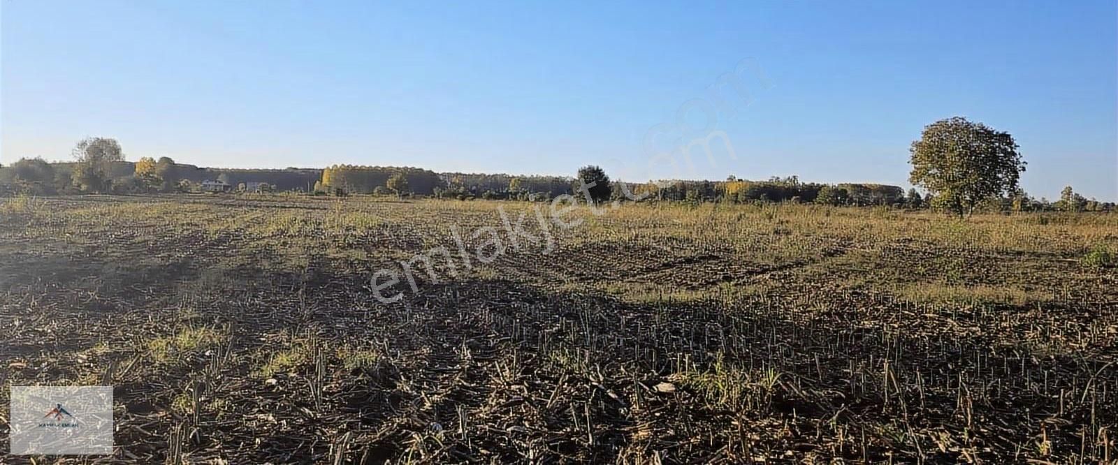 Kaymak Emlaktan Resmi Yolu Olan Satılık Arazi - Görsel 3