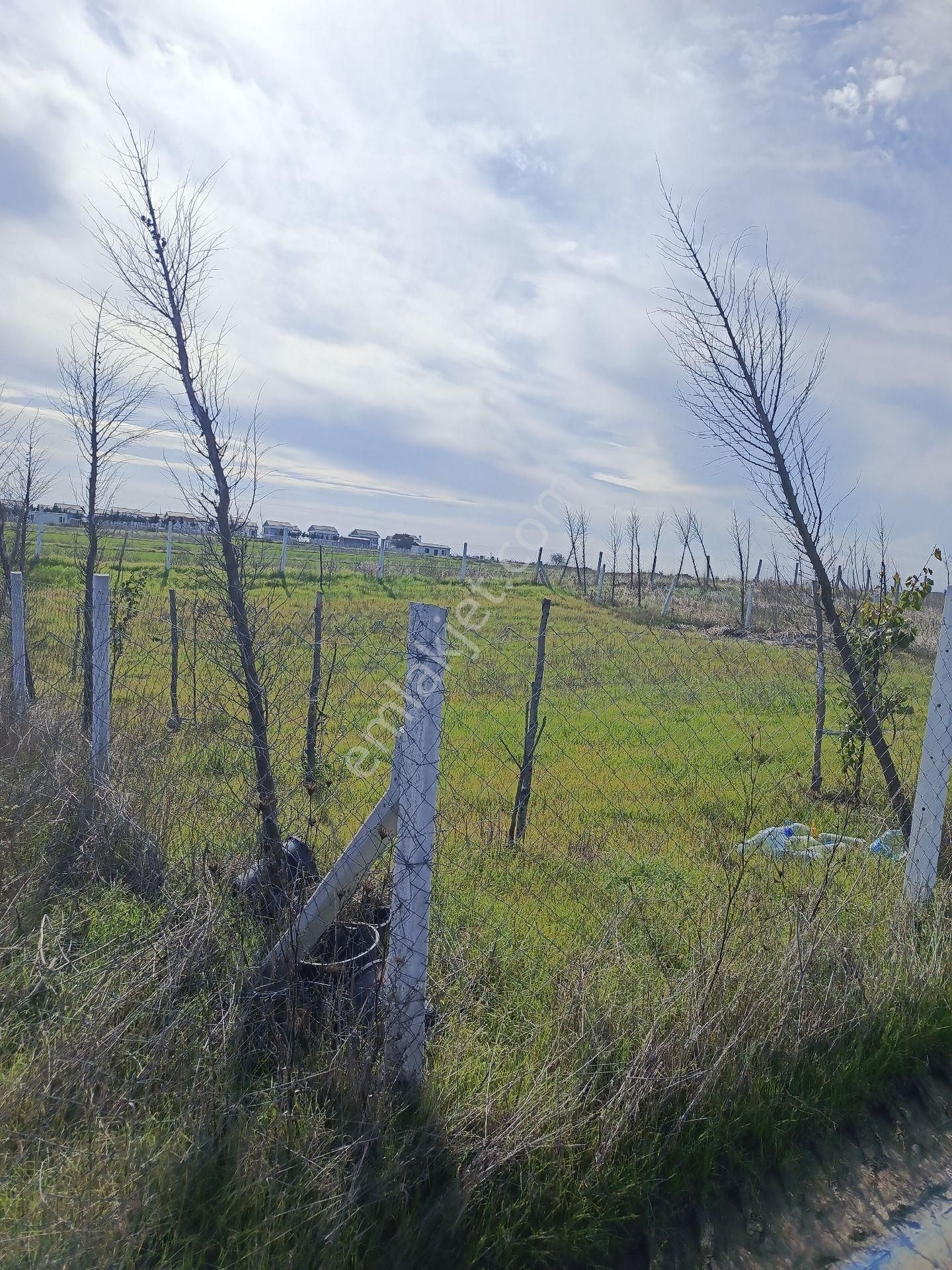 Villara Komşu Yerimiz Uygun Fiyata Satiyoruz - Görsel 7