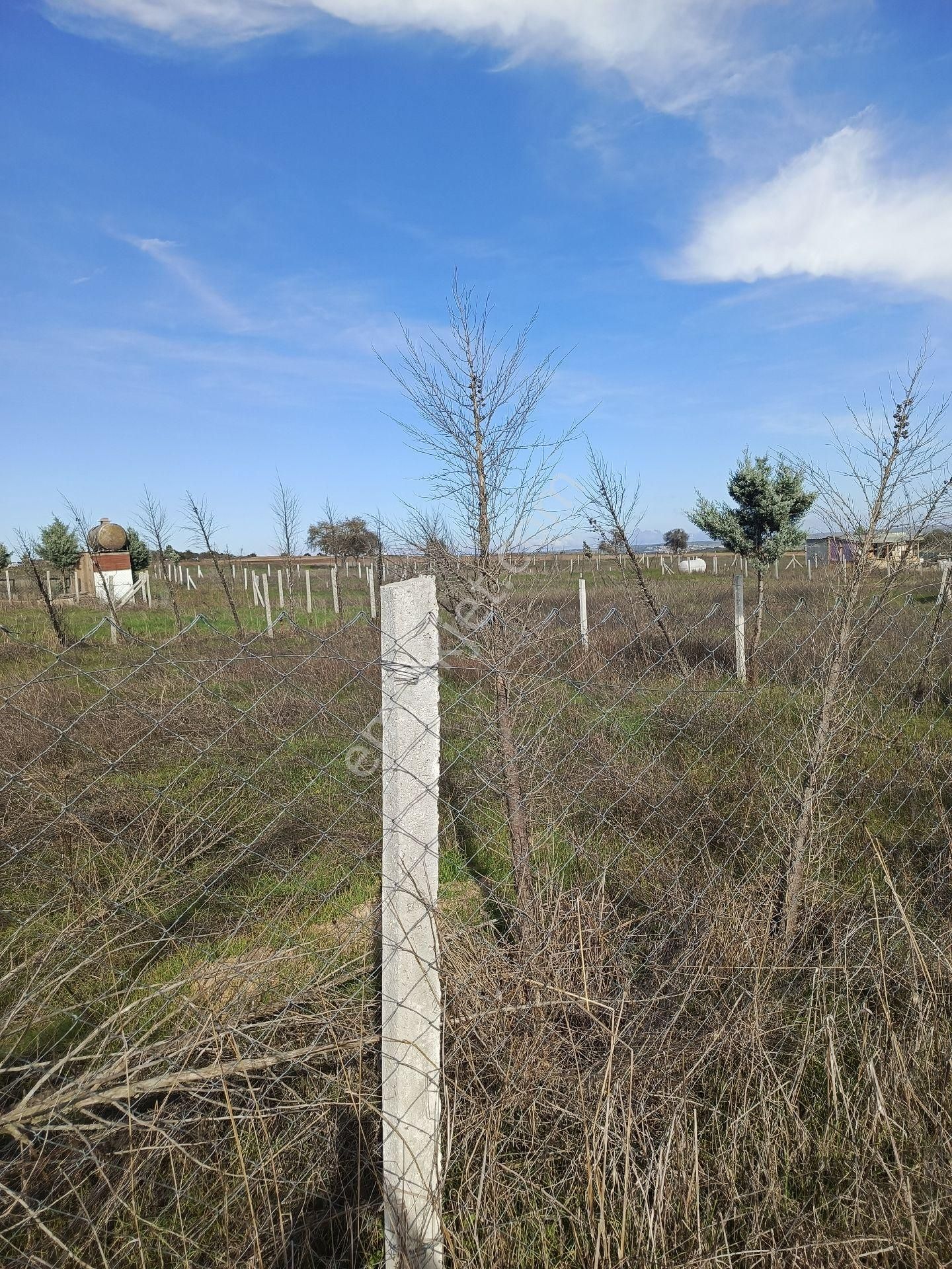 Villara Komşu Yerimiz Uygun Fiyata Satiyoruz - Görsel 12