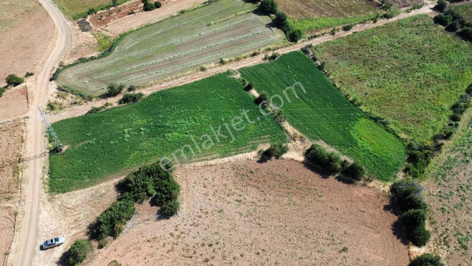 Century21 Net'ten Beyağaç'ta 4900 M2 Sulak Arazi