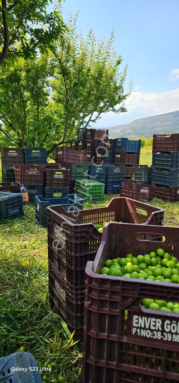 Mut Merkeze 5 Dk Uzaklıkta Su Ve Yol Sorunu Olmayan Bahçe - Görsel 9