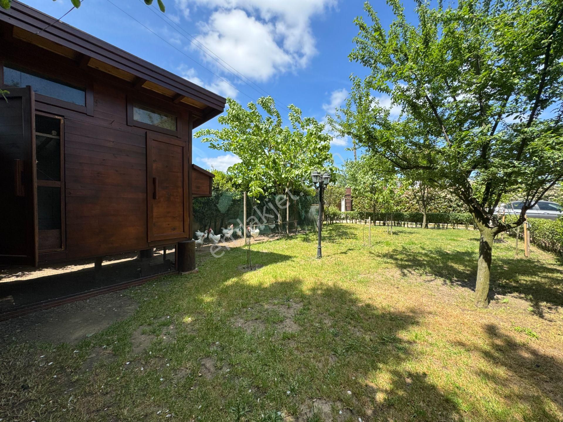 Tekirdağ Yulaflı Mahallesi 5+1 Satılık Masrafsız Müstakil Villa - Görsel 5