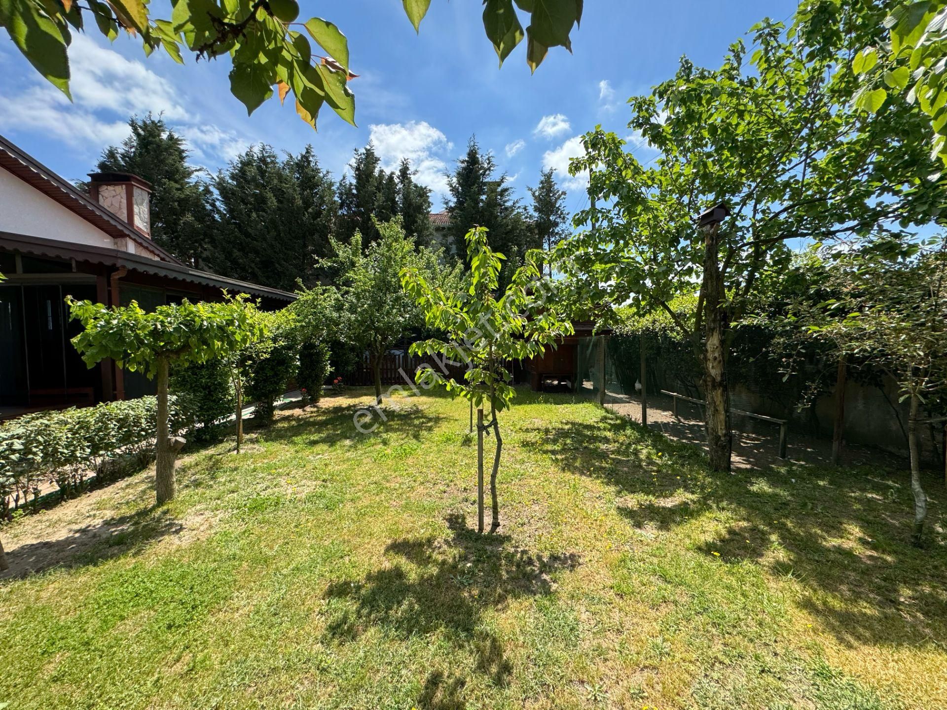 Tekirdağ Yulaflı Mahallesi 5+1 Satılık Masrafsız Müstakil Villa - Görsel 8